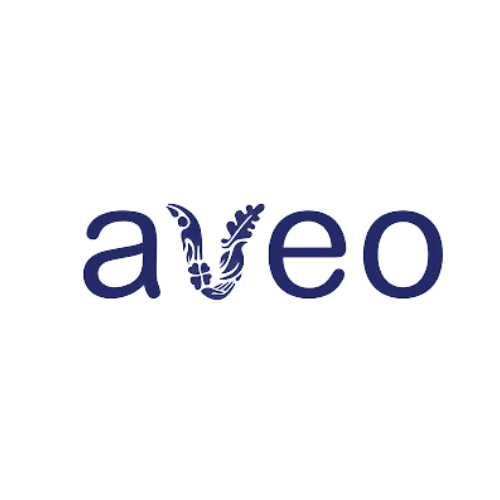 Aveo-Logo-3.png