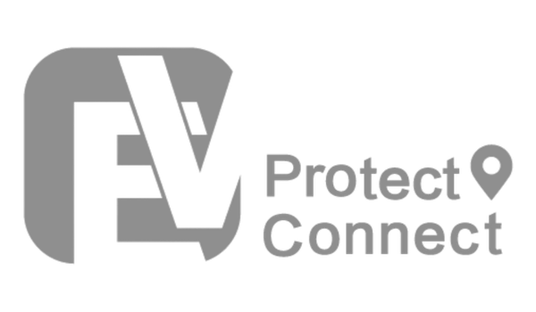 eView logo